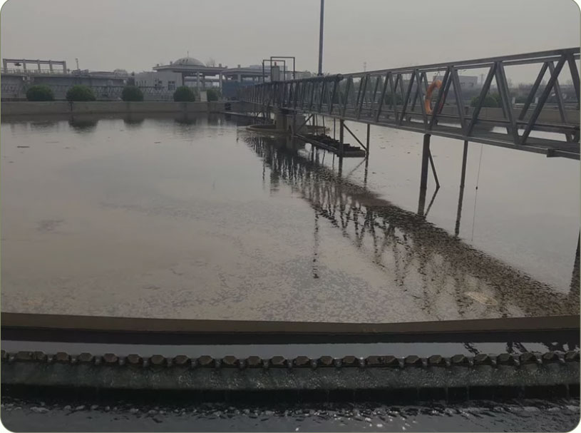 Shandong Plant Shandong Wastewater Treatment Plants Use Polyaluminum Chloride And Cationic Polyacrylamide